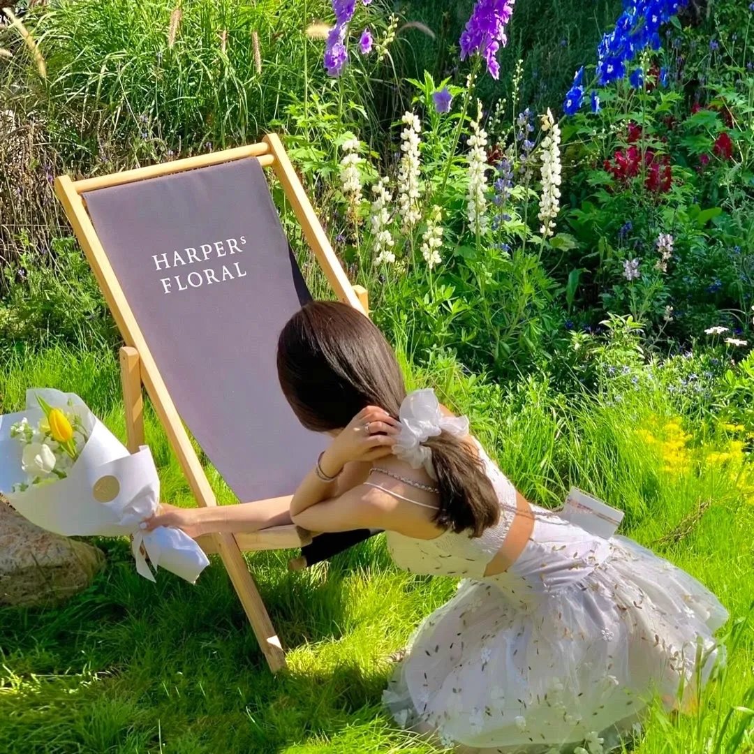 三个姐姐竟是隐藏大佬